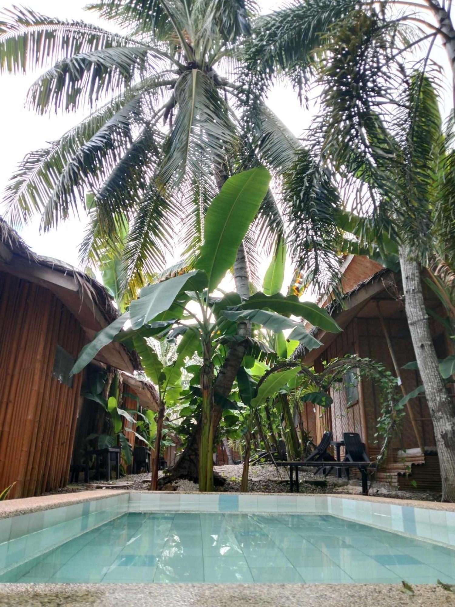Ecostay Panglao Resort Hotel Exterior photo