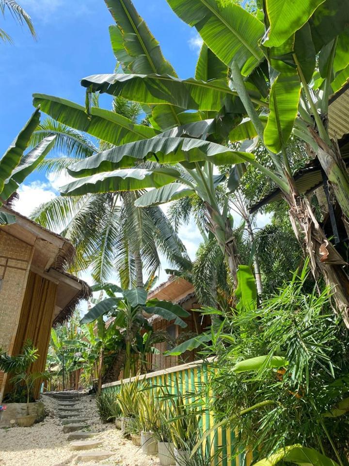 Ecostay Panglao Resort Hotel Exterior photo