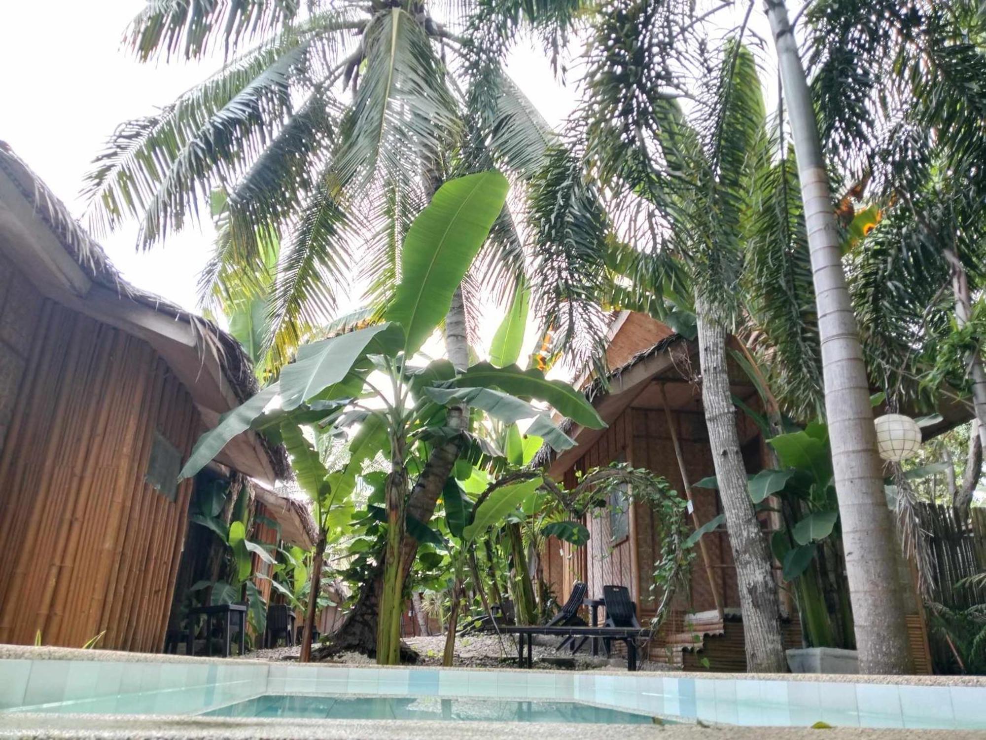 Ecostay Panglao Resort Hotel Exterior photo